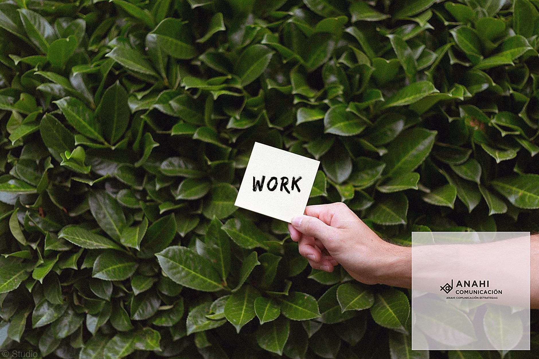 Copywriting Web Persuasivo