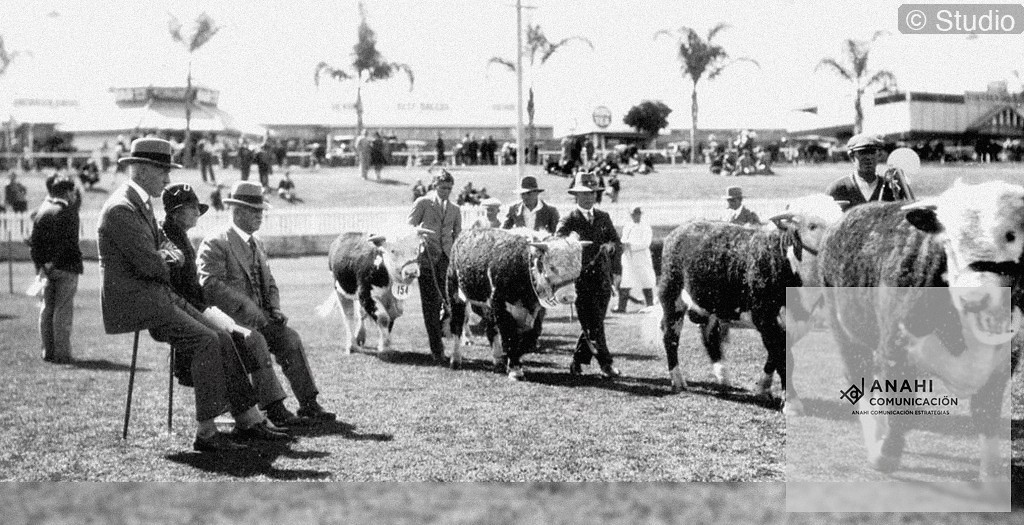 Email Marketing Efectivo